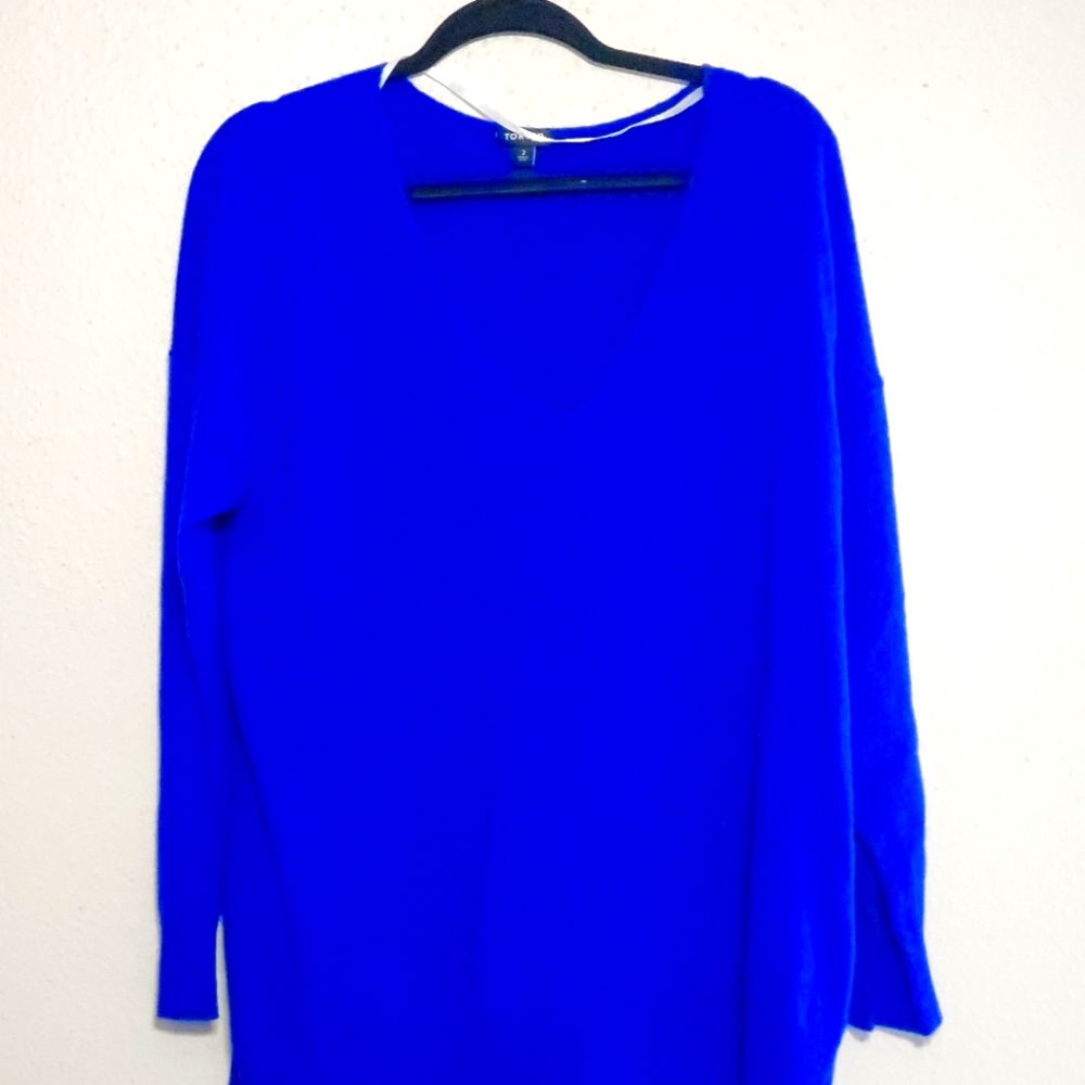 Cobalt Blue Torrid VNeck Sweater